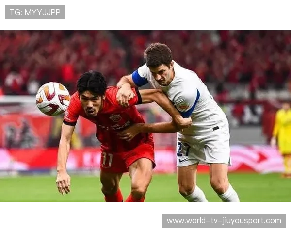 海港的国际赛场拓展：目标在哪些国家落地？