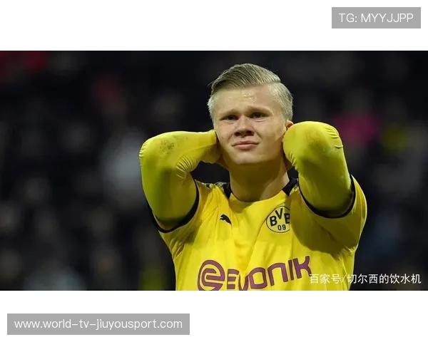 阿贾克斯追逐哈兰德类型的年轻高塔，打造禁区梦之队